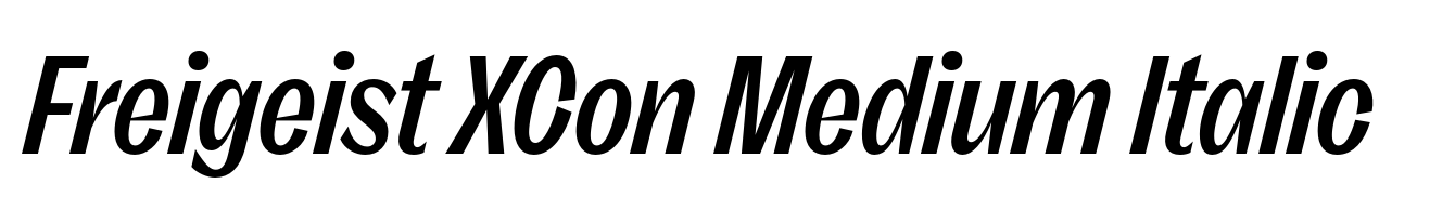 Freigeist XCon Medium Italic